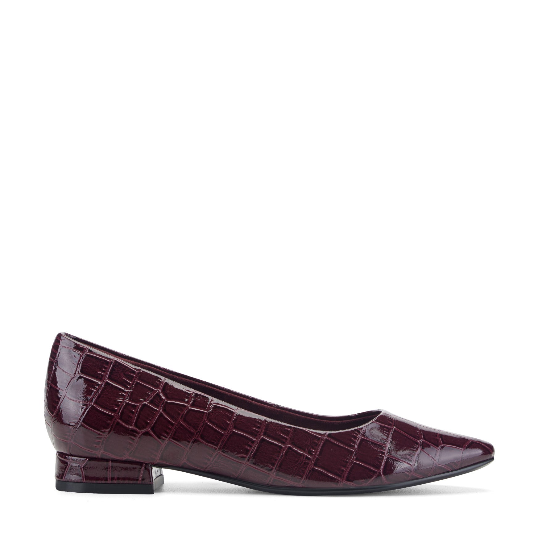 Women Tessa Total Motion Pointy Toe Dress Flats