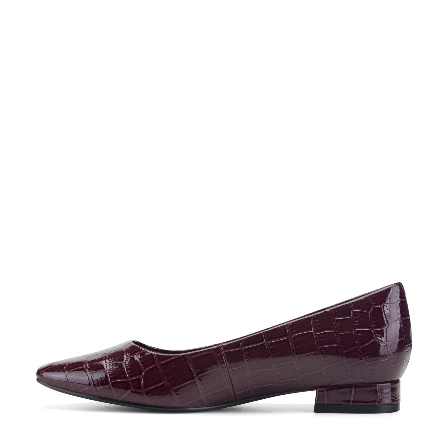 Women Tessa Total Motion Pointy Toe Dress Flats
