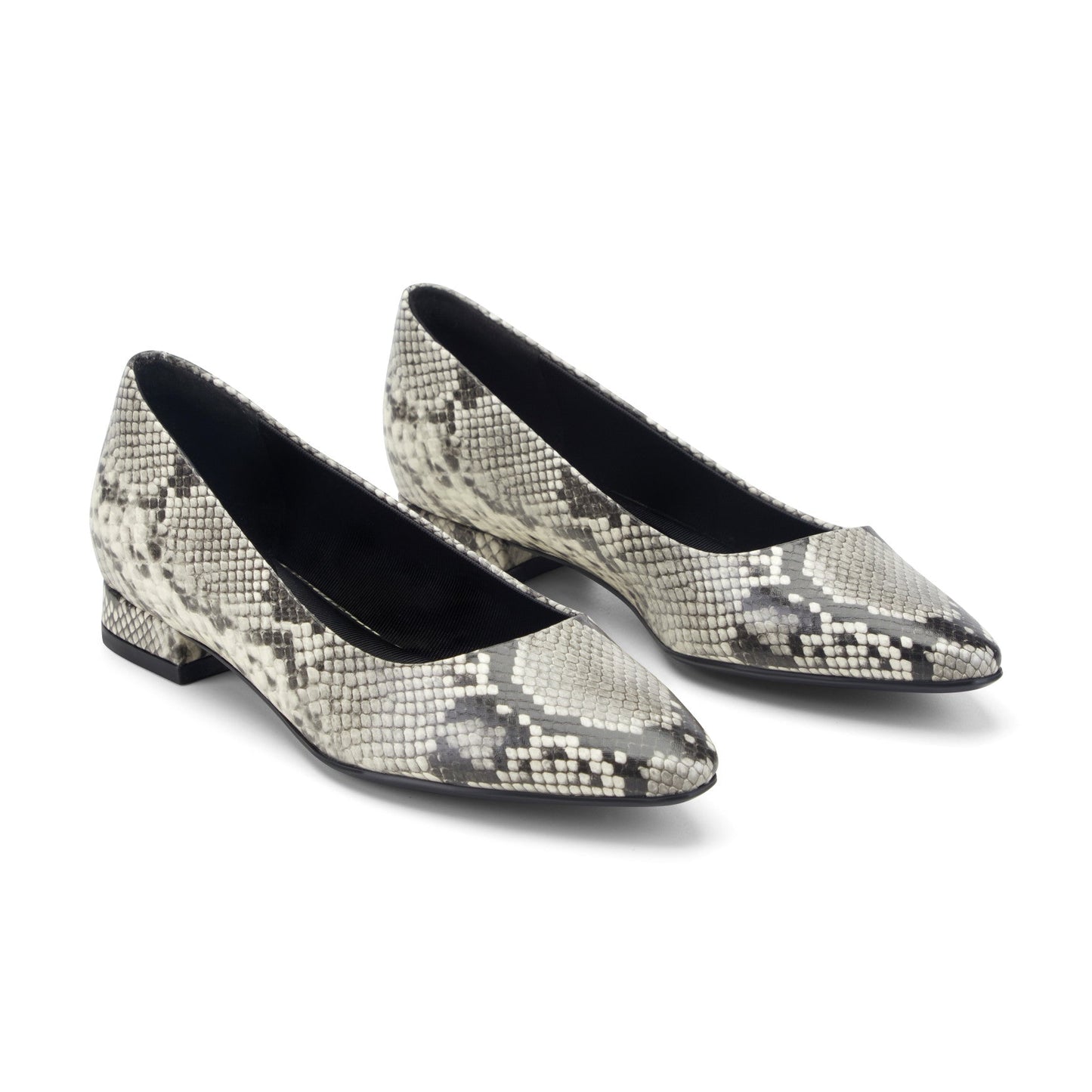 Women Tessa Total Motion Pointy Toe Dress Flats
